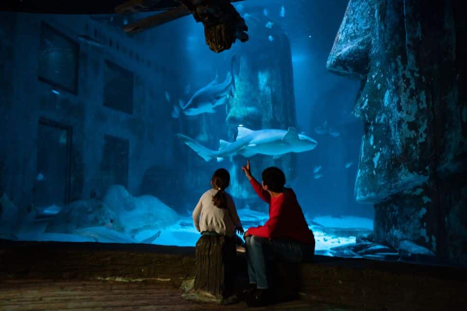 acquario di londra