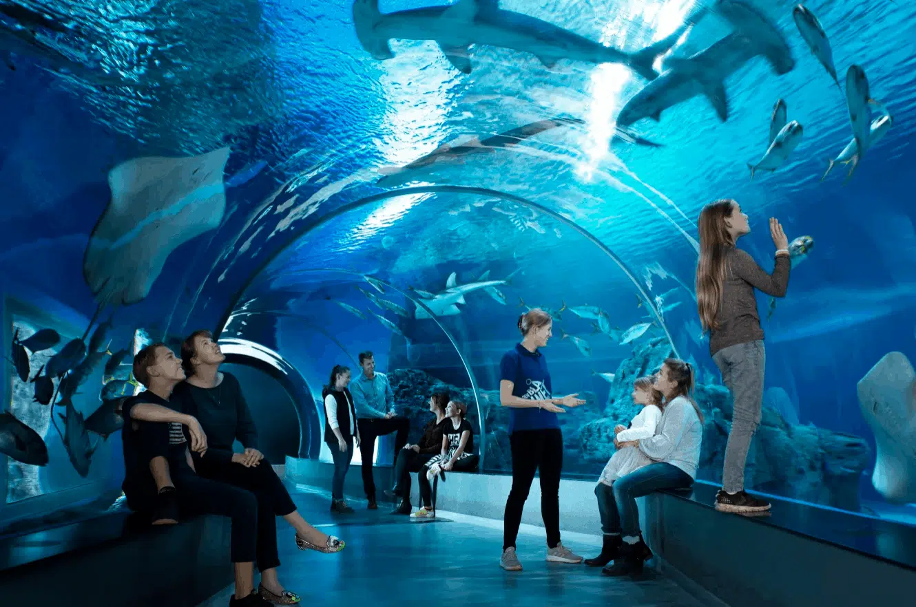 acquario nazionale di Danimarca acquario nazionale di Danimarca