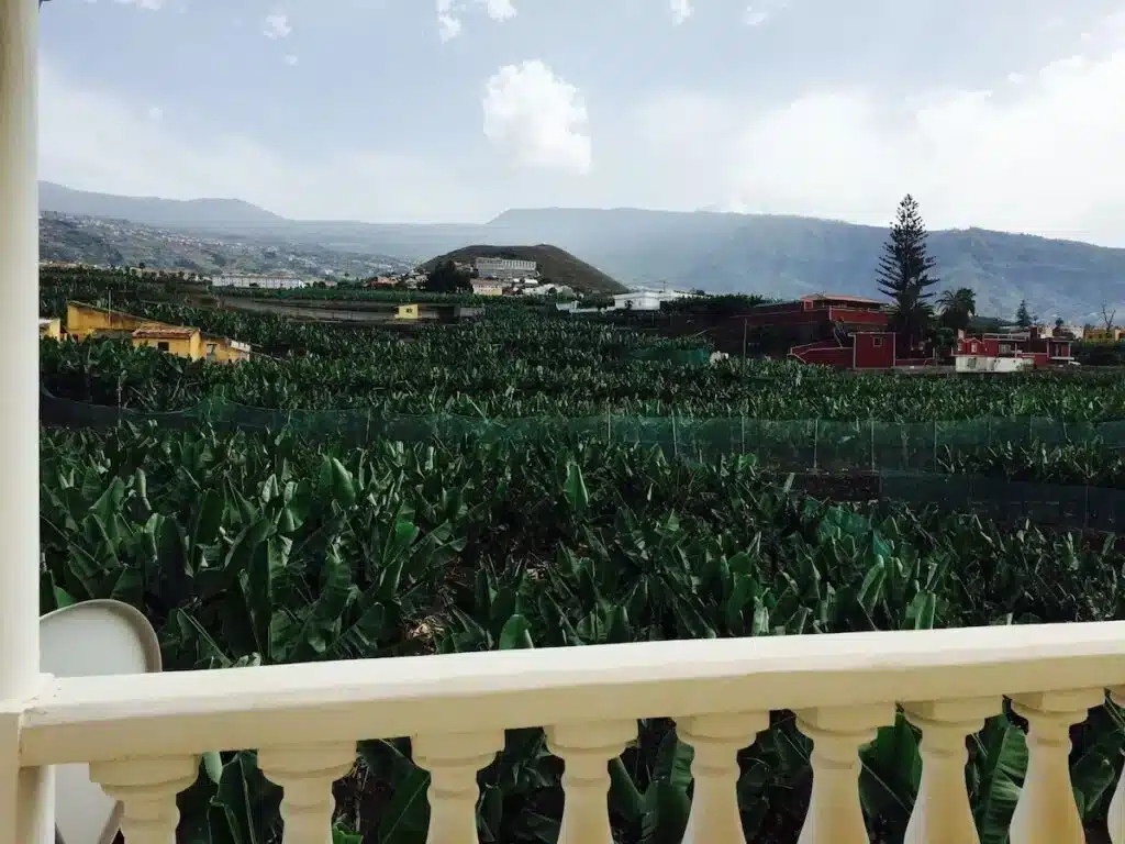 Apartamentos Villa Rosalva