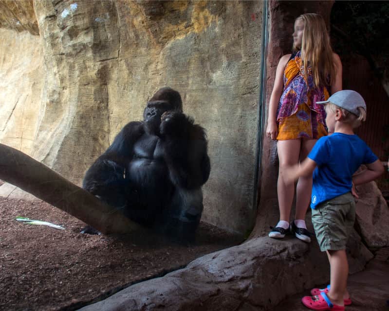Bioparc Fuengirola sulla Costa del Sol
