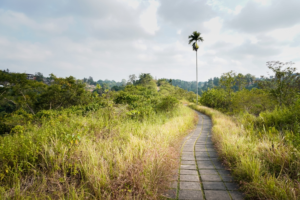Campuhan Ridge Walk vicino a Ubud al sole del mattino