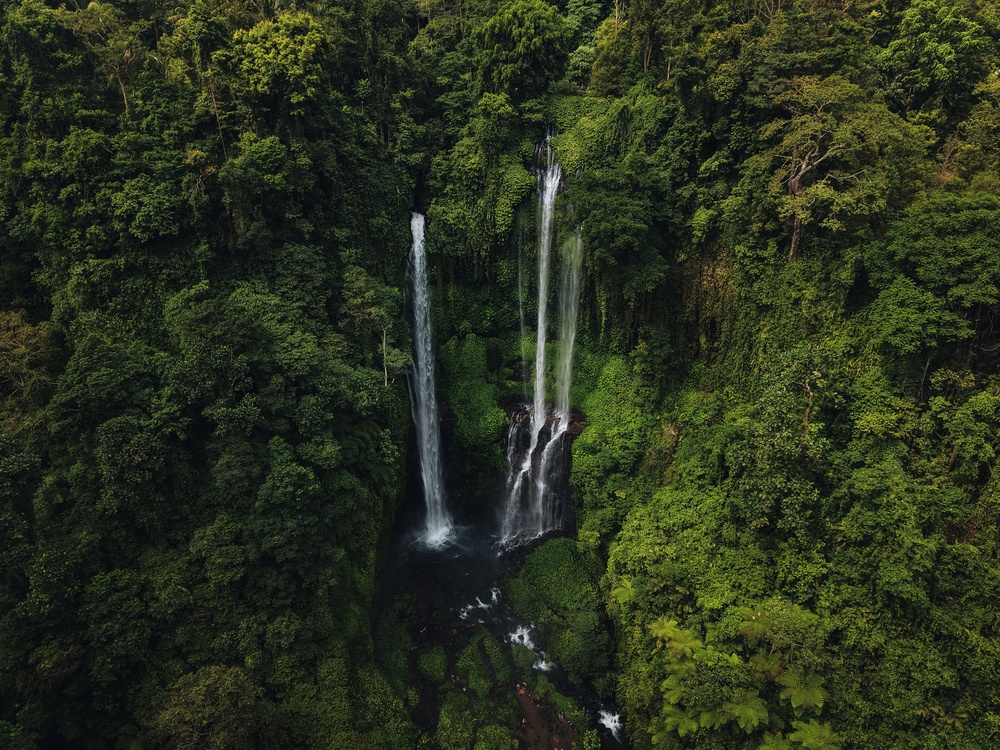 Le cascate di Sekumpul nella giungla del nord di Bali