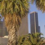 Cosa vedere a Los Angeles: le 19 attrazioni migliori e cosa fare