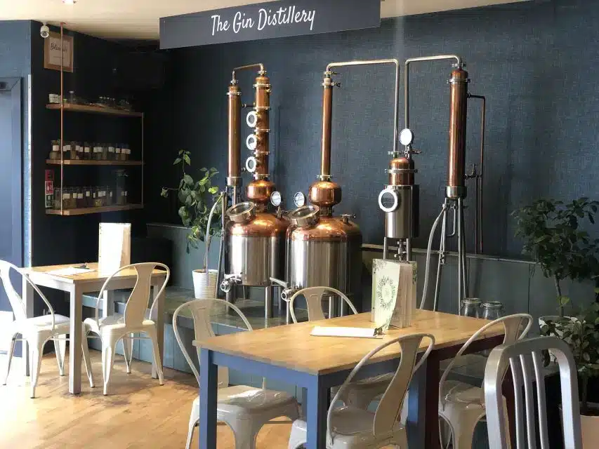 degustazione di gin edimburgo