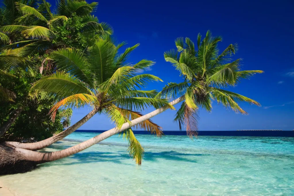 Dove alloggiare alle Maldive? Le 6 isole migliori dove dormire
