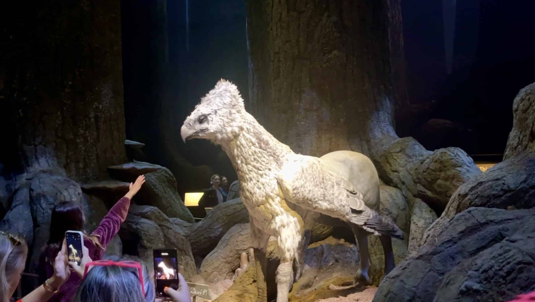 La Foresta Proibita