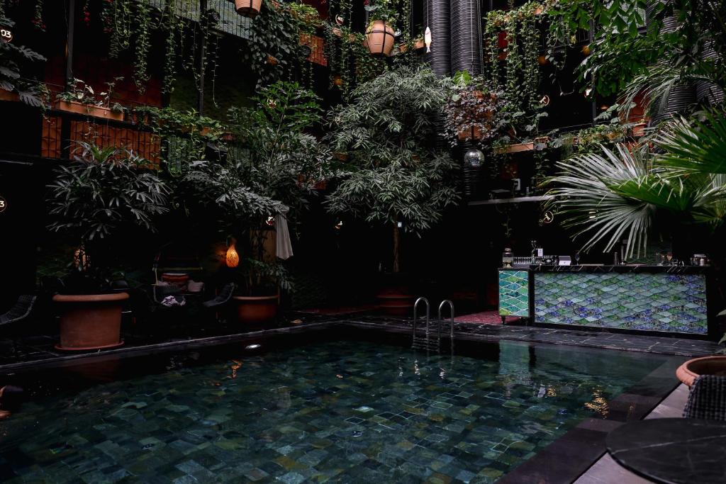 Hotel con piscina in stile balinese nel centro di Copenaghen
