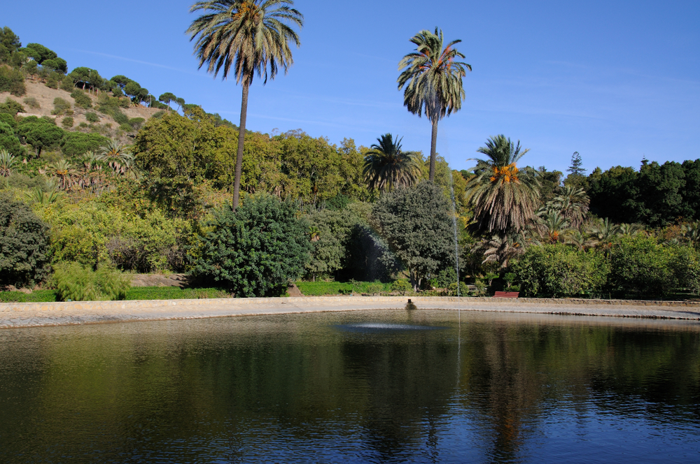 Il laghetto del Giardino Botanico La Concepción a Malaga