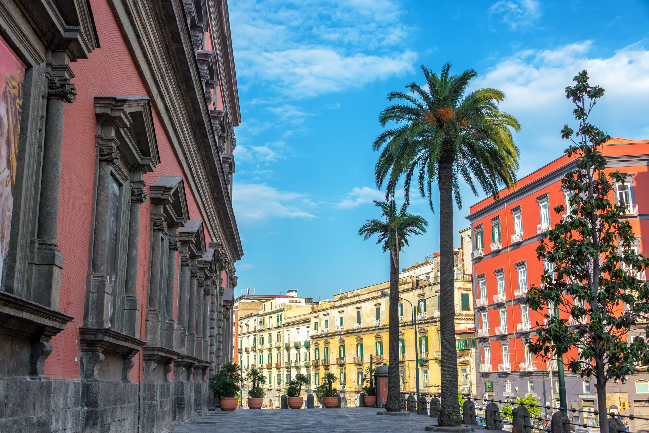 Il Museo Archeologico Nazionale di Napoli con le palme davanti alla facciata