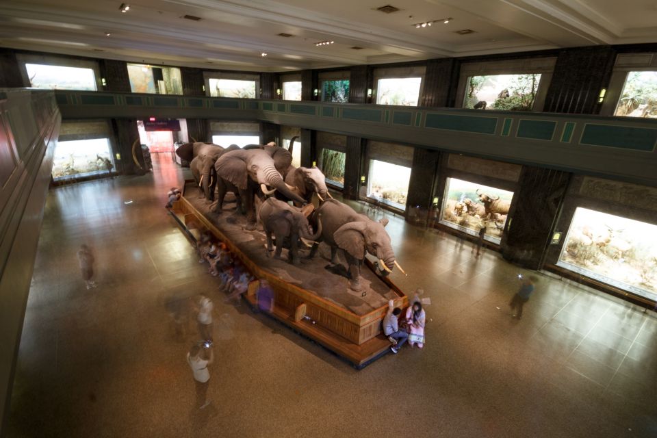 Museo di Storia Naturale di New York