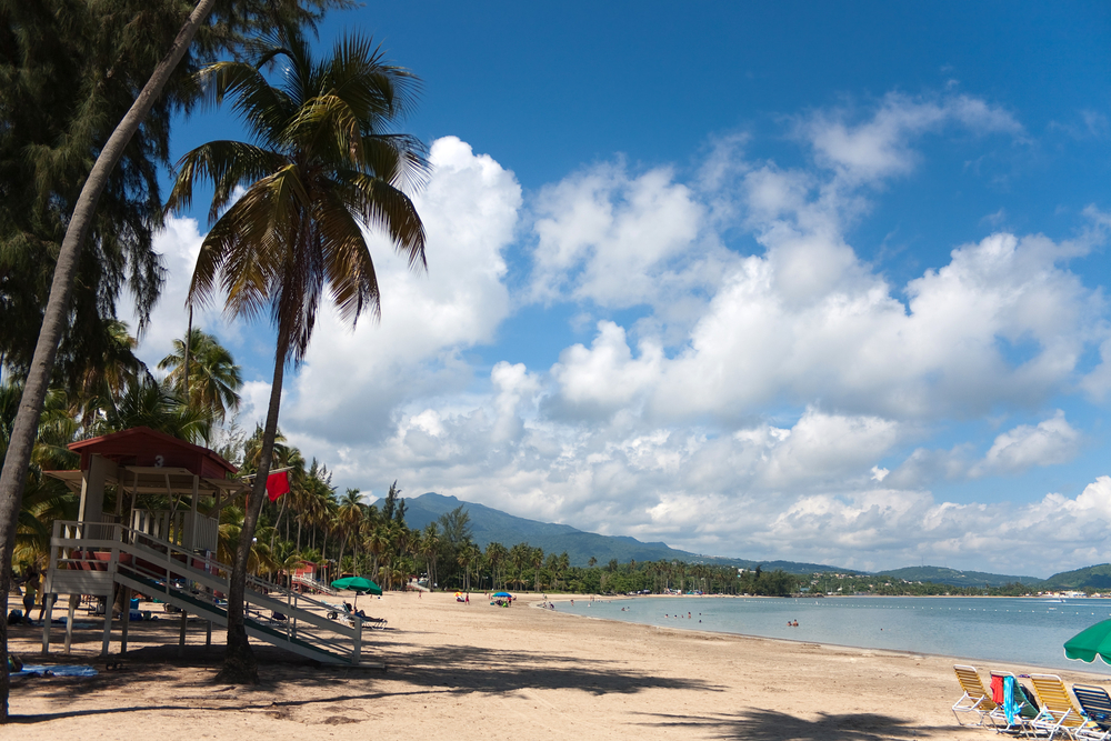 Palme lungo la spiaggia di Luquillo a Porto Rico