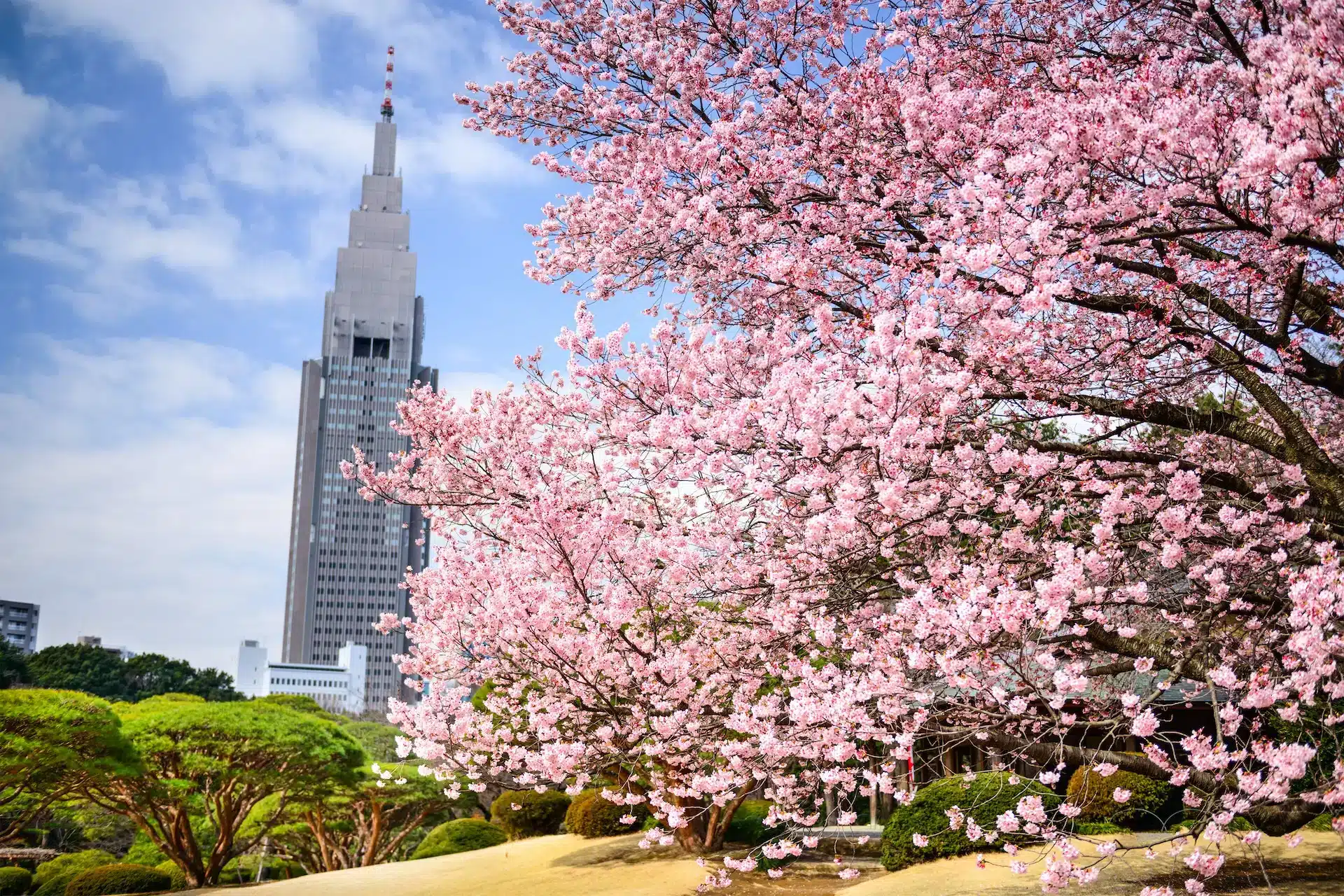 Parco Shinjuku Gyoen