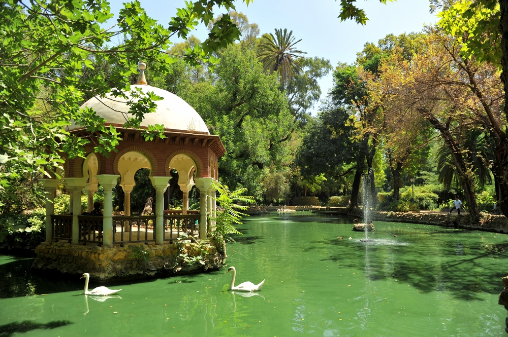 Cigni nel laghetto delle anatre accanto al padiglione nel Parque de María Luisa a Siviglia
