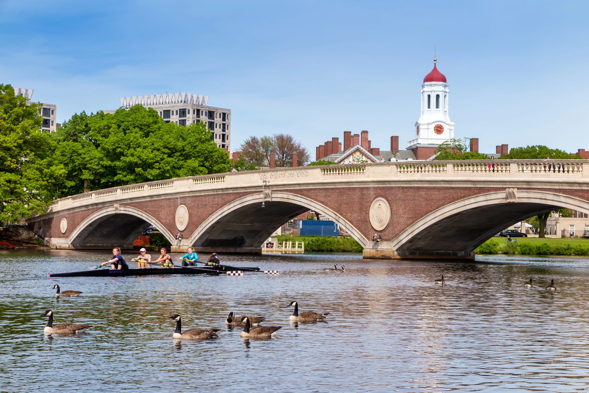 Ponte ad arco in mattoni sul fiume Charles con alberi e una torre di Cambridge sullo sfondo