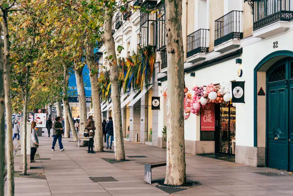 Salamanca a Madrid, la zona migliore per lusso e shopping
