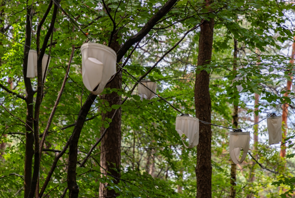 La scultura Nordic Hiplights di Pipilotti Rist nell'Ekebergparken a Oslo