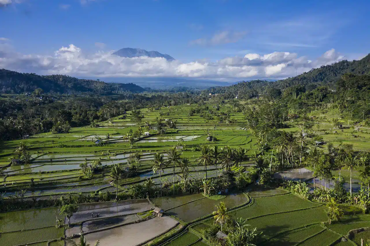 Sidemen, il posto migliore dove alloggiare a Bali