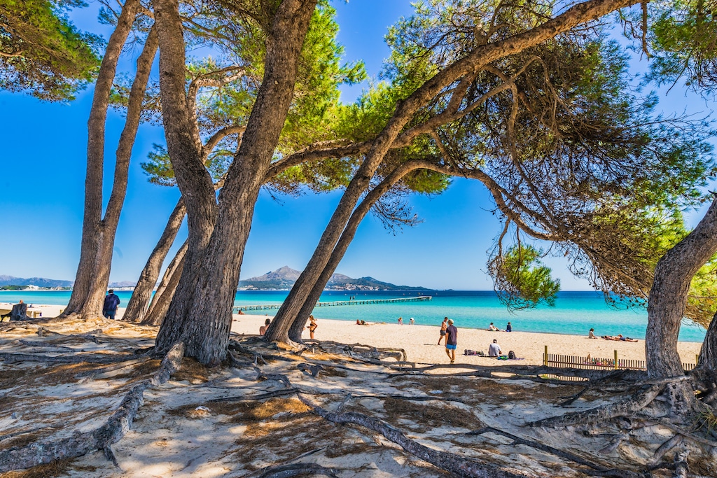 Spiaggia di Can Picafort, Maiorca