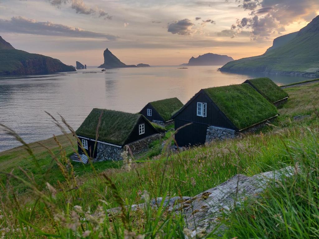 The View, Isole Faroe