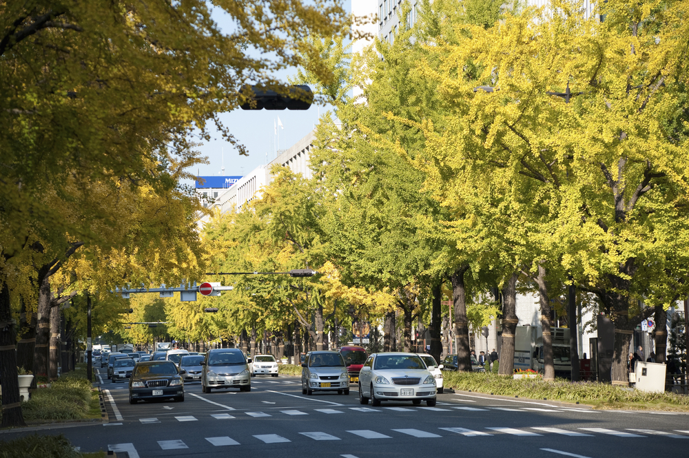 Il viale Midosuji di Osaka in autunno