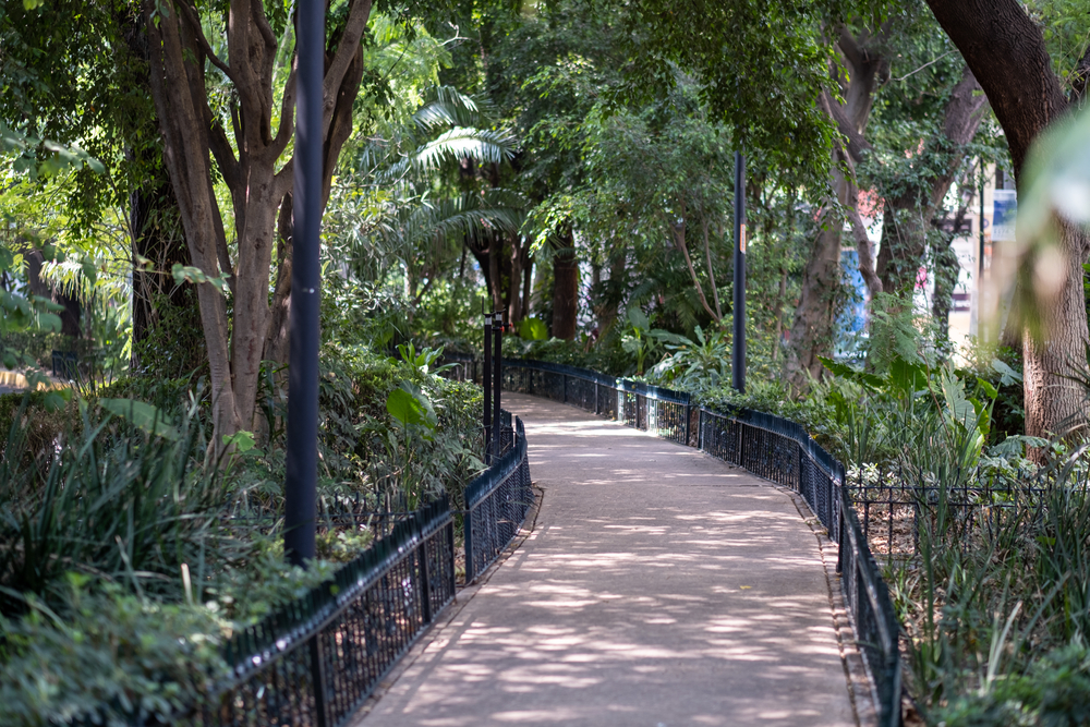 Il viale pedonale alberato al centro di Avenida Ámsterdam a Condesa, Città del Messico