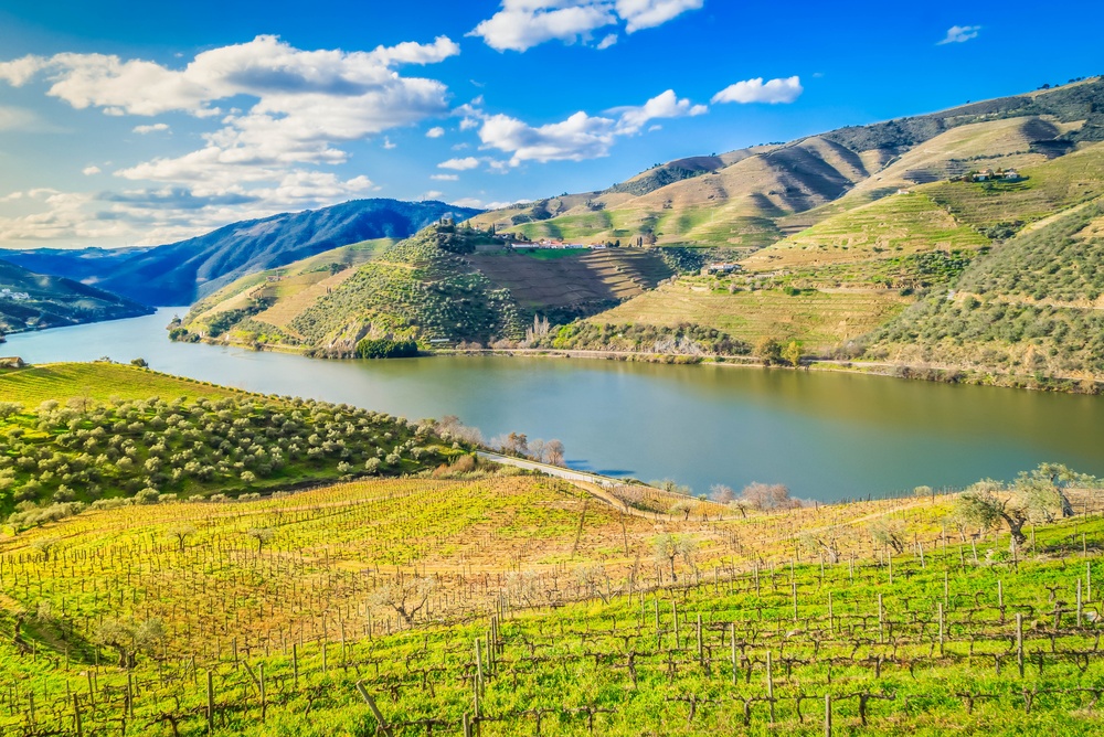Vigneti terrazzati lungo il fiume nella valle del Douro, in Portogallo