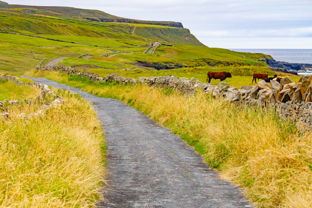 Il villaggio di Doolin con case e campi nella contea di Clare