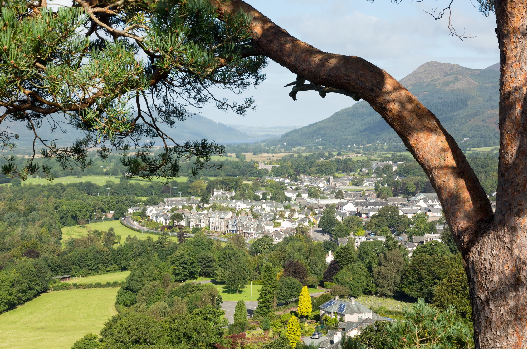 Vista di Keswick da un pendio boscoso con campi verdi e montagne sullo sfondo